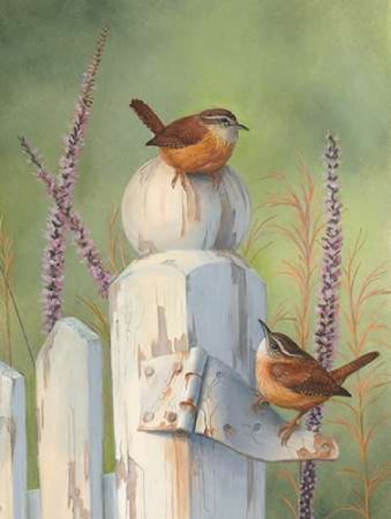 Wrens on Fence Post Canvas Art - Bob Henley (18 x 24)