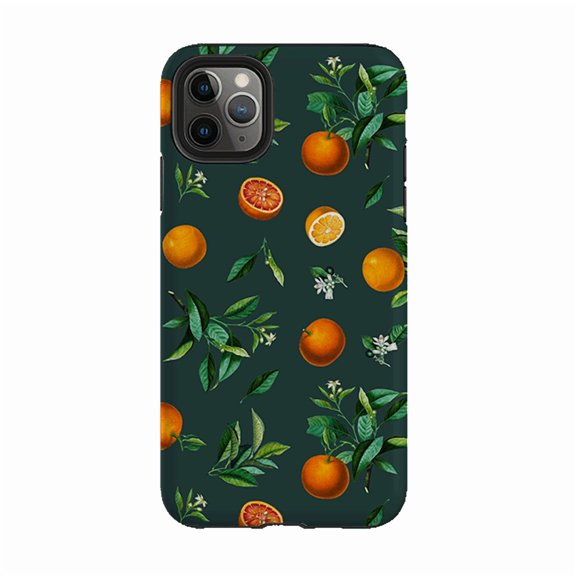 Wrest Park English Garden Art Phone Case for iPhone 16 15 14 13 12 11 Pro Max