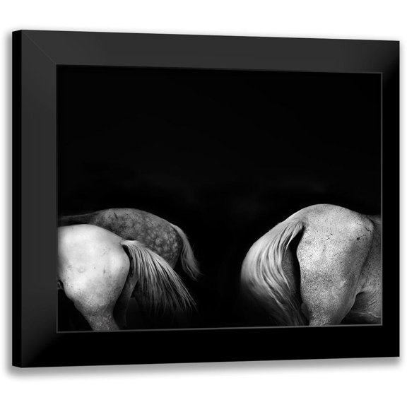 Wride, Linda 14x12 Black Modern Framed Museum Art Print Titled - Tail Ends