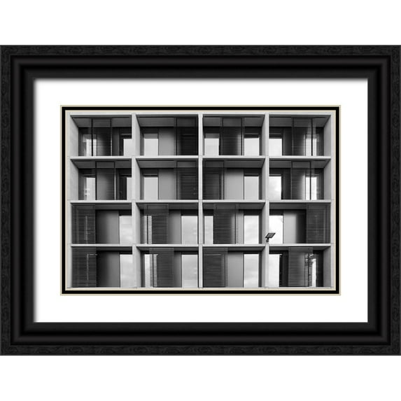 Wride, Linda 18x13 Black Ornate Wood Framed with Double Matting Museum Art Print Titled - Living In The Grid