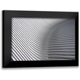 thumbnail image 1 of Wride, Linda 24x17 Black Modern Framed Museum Art Print Titled - Calatrava Curves # 2, 1 of 5
