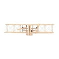 thumbnail image 1 of Wright Brothers Airplane, 1 of 7