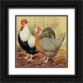 thumbnail image 1 of Wright, Lewis 12x12 Black Ornate Wood Framed with Double Matting Museum Art Print Titled - Chickens: Silver-Grey Dorkings, 1 of 4