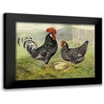 thumbnail image 1 of Wright, Lewis 18x15 Black Modern Framed Museum Art Print Titled - Chickens: Anconas, 1 of 5