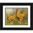 thumbnail image 1 of Wright, Lewis 18x15 Black Ornate Wood Framed with Double Matting Museum Art Print Titled - Chickens: Buff Orpingtons, 1 of 4