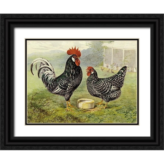Wright, Lewis 24x19 Black Ornate Wood Framed with Double Matting Museum Art Print Titled - Chickens: Anconas