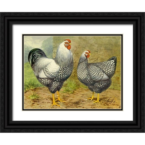 Wright, Lewis 24x19 Black Ornate Wood Framed with Double Matting Museum Art Print Titled - Chickens: Silver Laced Wyandottes