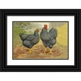 thumbnail image 1 of Wright, Lewis 32x23 Black Ornate Wood Framed with Double Matting Museum Art Print Titled - Chickens: Plymouth Rocks, 1 of 4