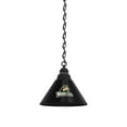 thumbnail image 1 of Wright State University Pendant Light with Black Fixture, 1 of 5