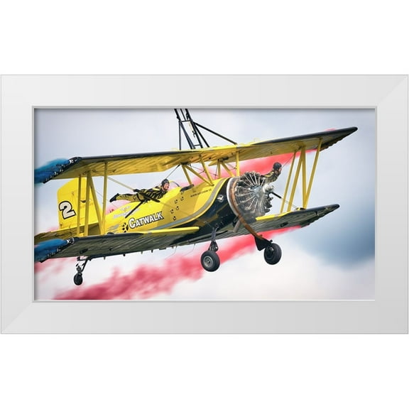 Wrobel, Piotr 14x10 White Modern Wood Framed Museum Art Print Titled - Catwalk