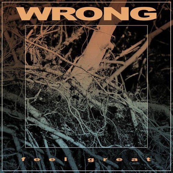 Wrong - Feel Great - Music & Performance - CD