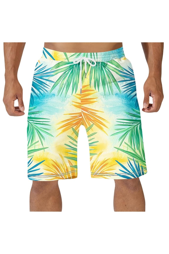 Plus Size Swim Shorts for Men Quick Dry Swimsuits Summer Hawaiian Tropical Palm Tree Printed Summer Beachwear Shorts Multicolor#01 S