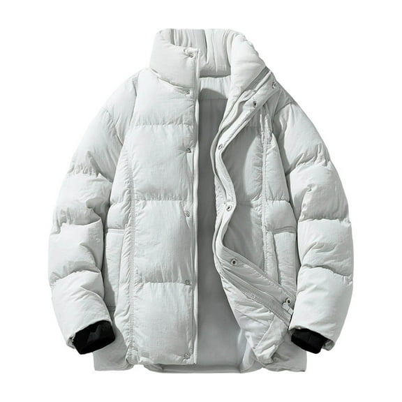 Wrtxtat Puffer Coats for Men Winter Warm Heavyweight Full Zip Mock Neck Windproof Jacket with Pockets Solid Color Puffy Coats Silver L