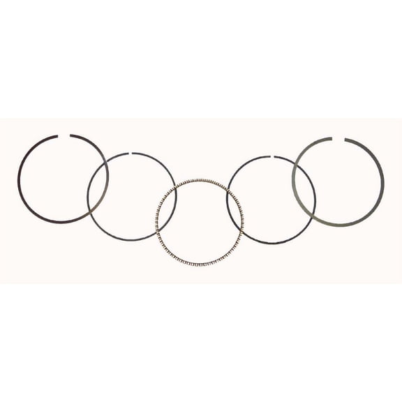 Wsm 51-252-04 Piston Ring Set - 74.25mm Bore