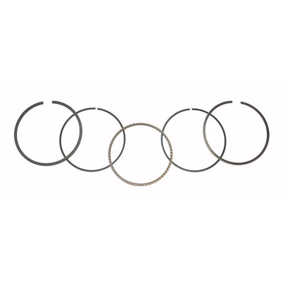 Wsm 51-252-05 Piston Ring Set - 74.50mm Bore
