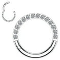 thumbnail image 1 of Wssxc Nose Rings Surgical Steel Cartilage Earrings 316L Stainless Steel Helix Earrings Tragus Earring 16G Hinged Segment Rings Hoop, 1 of 6