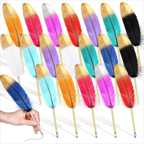 WuPing 20 Pcs Feather Quill Pens Black Ink Ballpoint Pen Vintage Quill Pen for Wedding Guest Signature Party Favors Office Writing (Mixed Color)