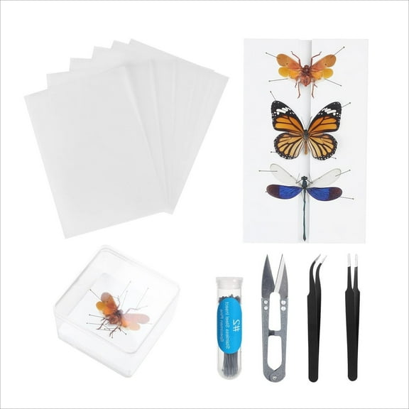 WuPing Insect Specimen Preparation Kit, DIY Butterfly Specimen Tools Includes: Size 2 Needle + 8 Sheets of A5 Tracing Paper + 1 Spreader Board + 3 Tools + 1 Display Case