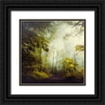 thumbnail image 1 of Wuestenhagen, Dirk 12x12 Black Ornate Wood Framed with Double Matting Museum Art Print Titled - Glorious Woods, 1 of 4