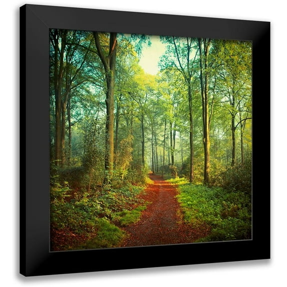 Wuestenhagen, Dirk 20x20 Black Modern Framed Museum Art Print Titled - Sunday Morning Walk