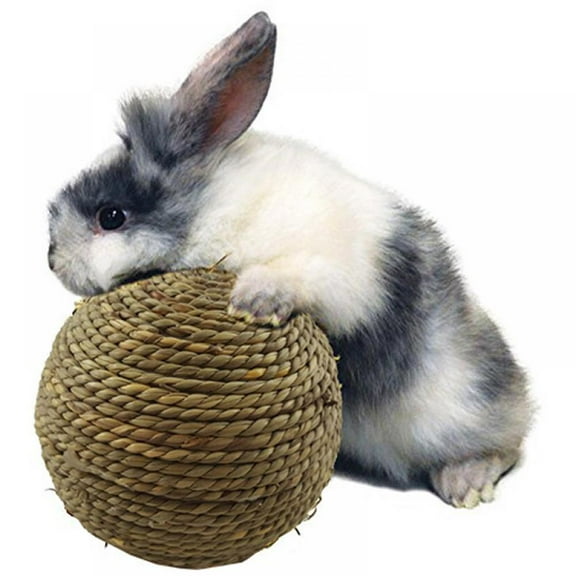 Wuffmeow Rabbit Chew Ball Grinding Small Animal Activity Play Chew Toys for Bunny Rabbits Hamsters Guinea Pigs Gerbils