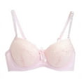 thumbnail image 1 of Wuffmeow Women's Lace Steel Ring Bra Push-up Seamless Gathering Massage Underwear, 1 of 3
