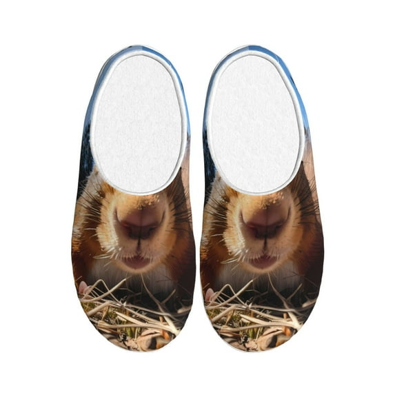 Wukai Close-Up Curious Squirrel Print Women's Indoor Bedroom Slipper Slip On Shoes, Unisex House Shoes with Anti-Skid Sole for Men, Gift for Women Men-35/36
