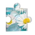 thumbnail image 1 of Wukai Daisy Flowers Print Elegant Acrylic Gift Decorations Perfect for Weddings, Birthdays, Anniversaries, and Home Decor, 1 of 6