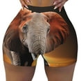 thumbnail image 1 of Wukai Elephant Sunset in Kenya Print Pack Biker Shorts for Women Yoga Workout Gym Running Scrunch Active Shorts-Small, 1 of 8