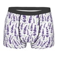thumbnail image 1 of Wukai Lavender Flowers Print Men’s Underwear Breathable Boxer Briefs,&nbsp;Moisture Wicking & Breathable-Small, 1 of 7