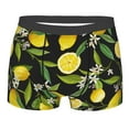 thumbnail image 1 of Wukai Lemon Fruits Flowers Leaves Print Men’s Underwear Breathable Boxer Briefs,&nbsp;Moisture Wicking & Breathable-Large, 1 of 7