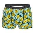 thumbnail image 1 of Wukai Lemon Print Men’s Underwear Breathable Boxer Briefs,&nbsp;Moisture Wicking & Breathable-XX-Large, 1 of 7