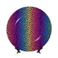 thumbnail image 1 of Wukai Leopard Neon Rainbow Gradient Print Decorative Plate for Display,Bone China Decorative Plate, Ceramic Dinner Plate with Stand, Vertical Ceramic Plate-10in, 1 of 6