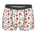 thumbnail image 1 of Wukai Strawberries Print Men’s Underwear Breathable Boxer Briefs,&nbsp;Moisture Wicking & Breathable-Large, 1 of 7