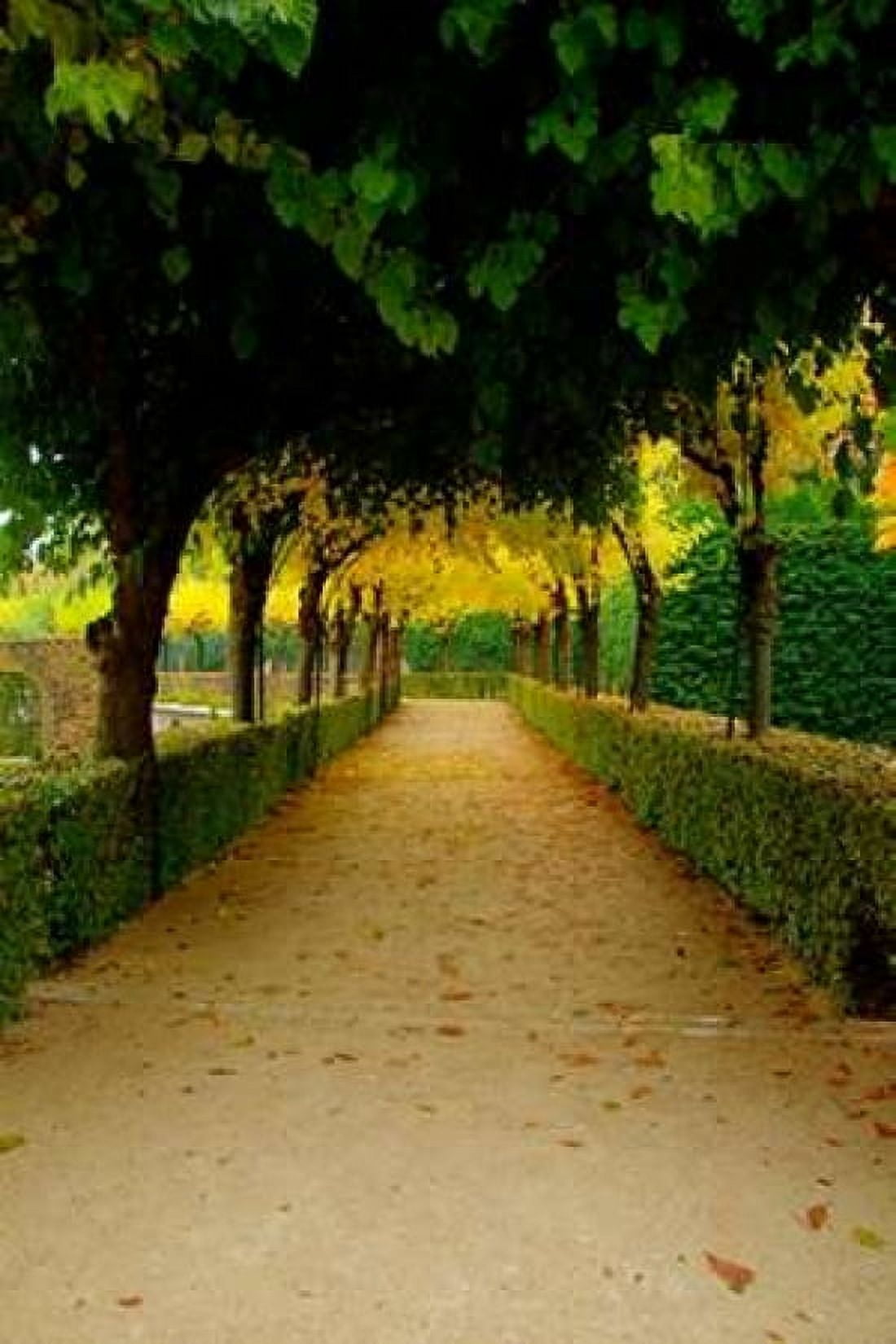 Wurzburg VI Canvas Art - George Johnson (20 x 28)
