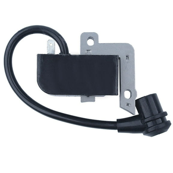 Wuweikeji Ignition Coil for SRM-2100 SRM-2110 SRM-2400 for GT- SRM-211 EDR-2400, Yard, Garden & Outdoor Living