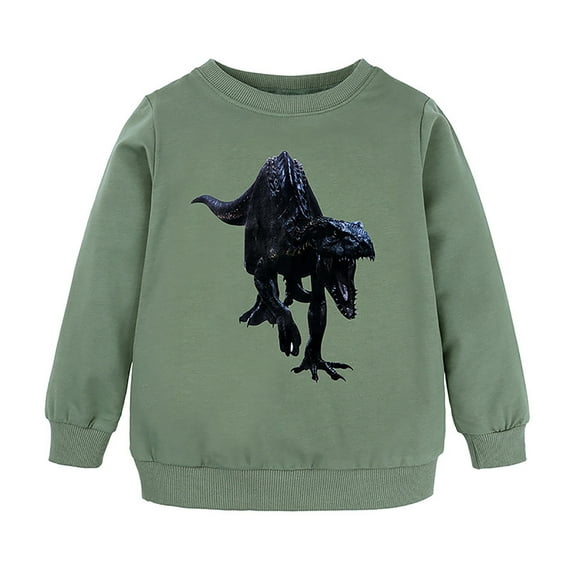 Wuxian Toddler Baby Boy Girl Sweatshirts Cotton Long Sleeve Crewneck Cartoon Animals Dinosaur Printed Pullover Toddler Kids Winter Warm Shirt Base Sport Top,Green,2-3 Years