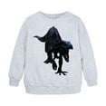 thumbnail image 1 of Wuxian Unisex Boys Girls Sweatshirts Cotton Long Sleeve Crewneck Cartoon Animals Dinosaur Printed Pullover Toddler Kids Winter Warm Shirt Base Tops,Grey,4-5 Years, 1 of 9
