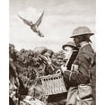 thumbnail image 1 of Wwi Carrier Pigeon. Na Carrier Pigeon Being Released To Carry A Message To The French Headquarters During World War I., 1 of 3