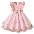 thumbnail image 1 of Wxirdiow Tutu Dresses for Toddler Girls Toddler Tutu Dress Little Girls Fluffy Summer Dresses Casual Party Tulle Sundress for Kids Pink Size,5-6 Years, 1 of 5