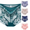 thumbnail image 1 of Wxolcjlv Floral Lace High Waist Panty Womens Sheer Breathable Undergarments, 1 of 4