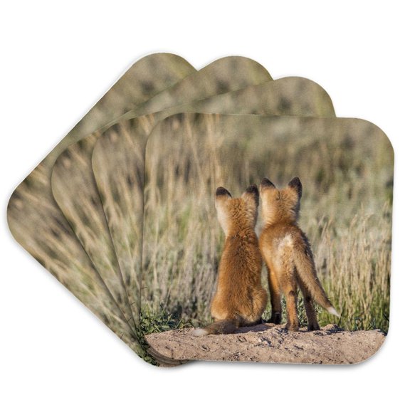 3drose, Wy. Two Young Fox Kits Watch from Their Den for a Parent, Set of 4 Coasters - Soft