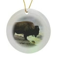 thumbnail image 1 of 3drose, Wy, Yellowstone Np, Midway Geyser Basin. American Bison., Circle Porcelain Ornament, 1 of 7