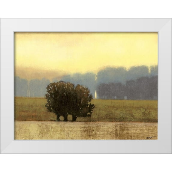 Wyatt Jr., Norman 32x25 White Modern Wood Framed Museum Art Print Titled - Villa Park I