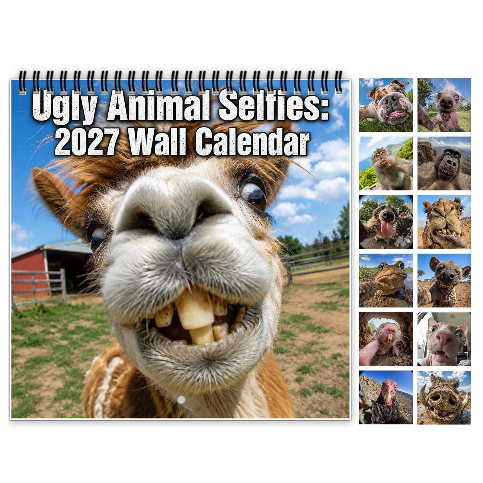 Wyihui Wall Calendar 2027, Funny Animal Selfies Monthly Calendar, Large ...