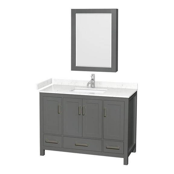 Wyndham Collection Sheffield 48" Wood Single Bathroom Vanity in Chrome/Dark Gray