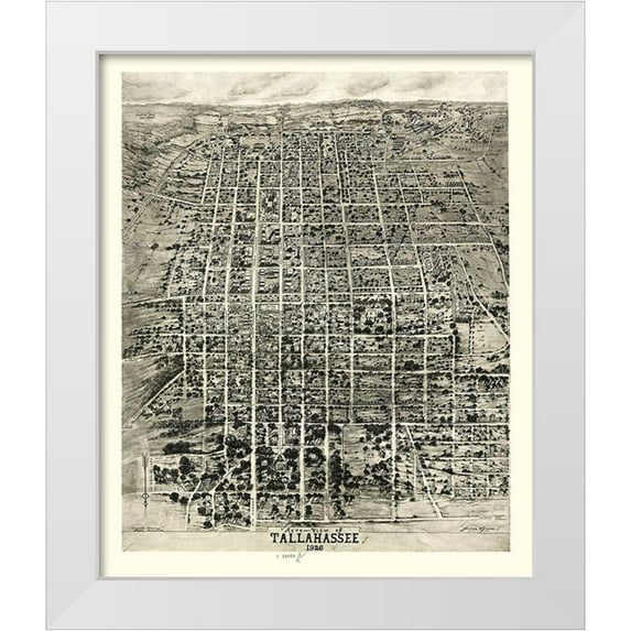Wynne 20x23 White Modern Wood Framed Museum Art Print Titled - Tallahassee Florida - Wynne 1926