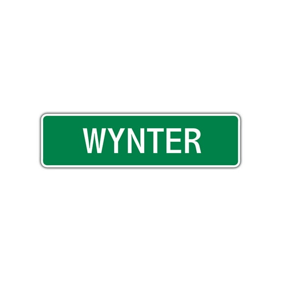 Wynter Girls Children Name Letter Printed Plaque Decoration Label Indoor Outdoor Unique Wall Novelty Aluminum Metal Sign 4"x18"
