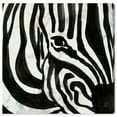 thumbnail image 1 of Wynwood Studio Animals Modern Canvas Art - Black And White Close Up Zebra, Wall Art for Living Room, Bedroom, and Bathroom, 30 in x 30, Black and White Home Decor, 1 of 5
