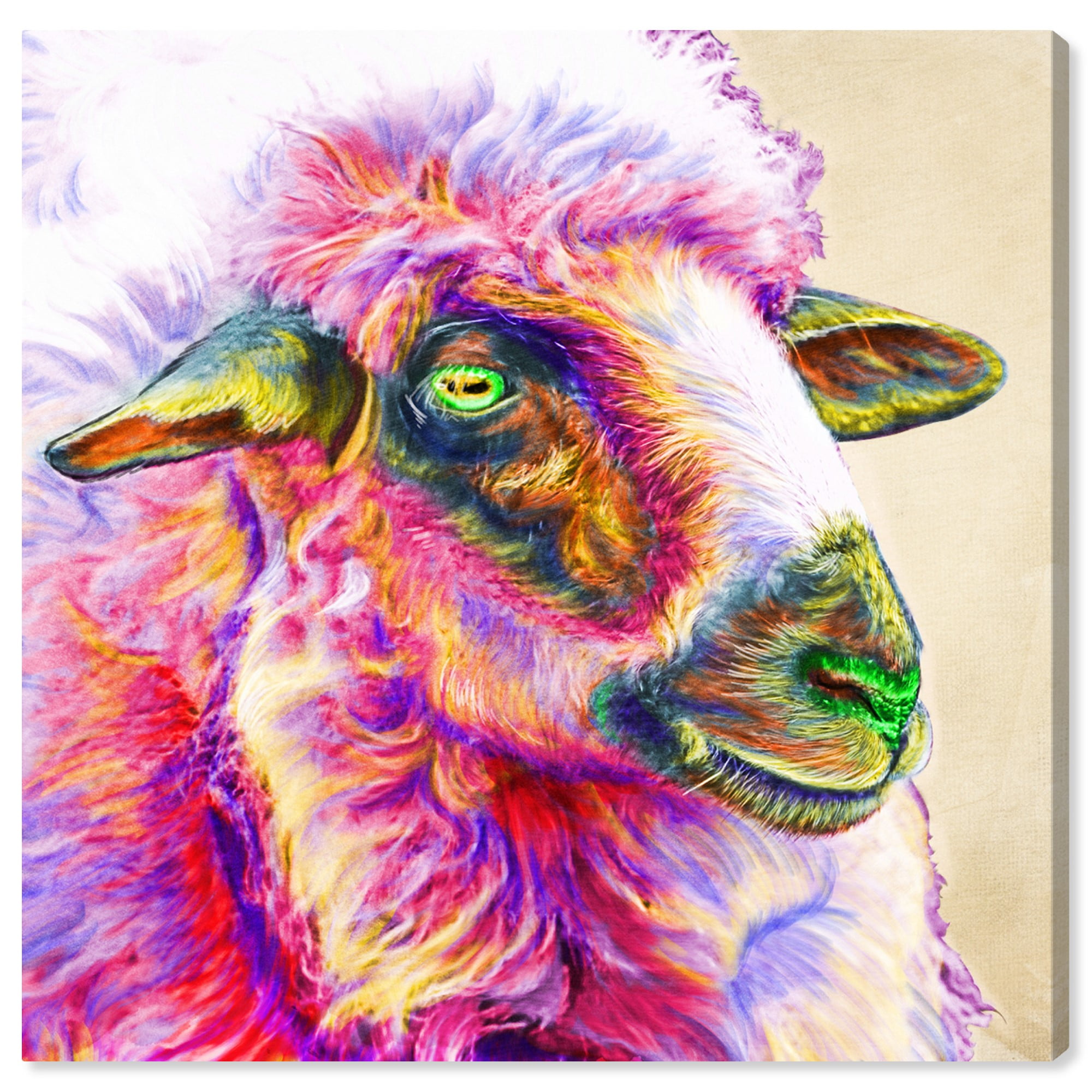 Wynwood Studio Animals Wall Art Canvas Prints 'Color Glam Sheep' Farm ...